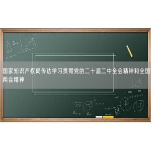 国家知识产权局传达学习贯彻党的二十届二中全会精神和全国两会精神