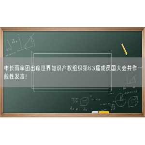 申长雨率团出席世界知识产权组织第63届成员国大会并作一般性发言！